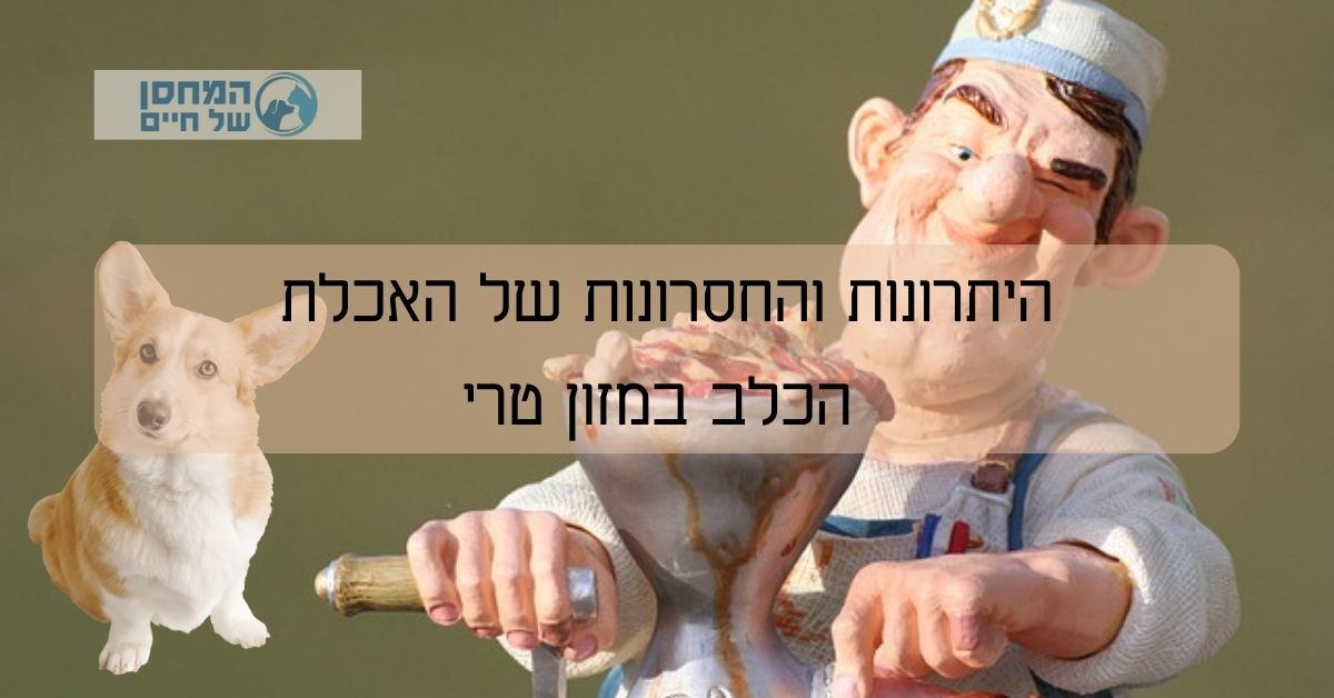 היתרונות והחסרונות של האכלת הכלב במזון טרי